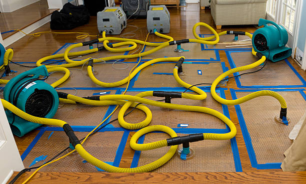 Professional Sewage Cleanup technician working in Pequannock, NJ